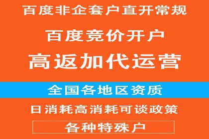 竞价推广公司的策略布局：某行业领导品牌的成功案例